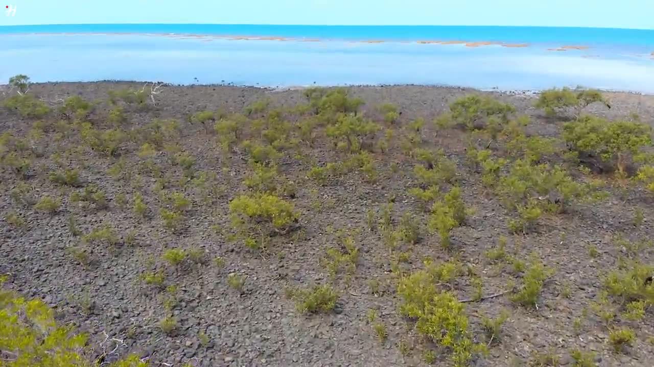 82 %% AUSTRALIA 4K - Relaxing Music Along With Beautiful Nature