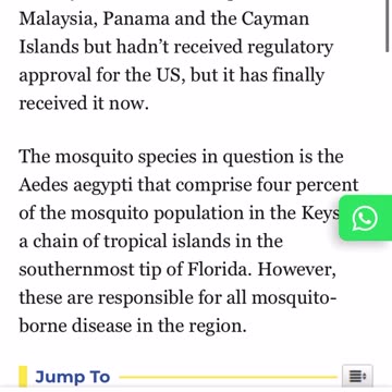 Gmo mosquitoes. Wonderful