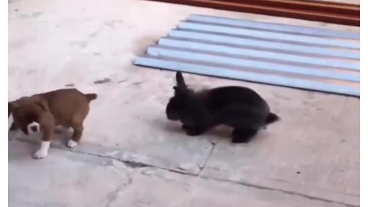 We all have to crawl before we hop