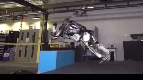 Boston Dynamics