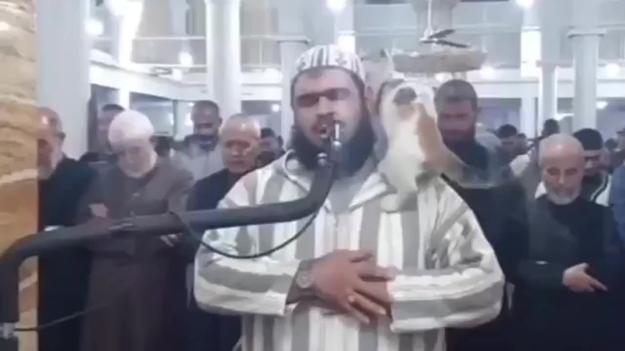 Amazing Video Must Watch || Love with Animals || Animal love || Prayer Video