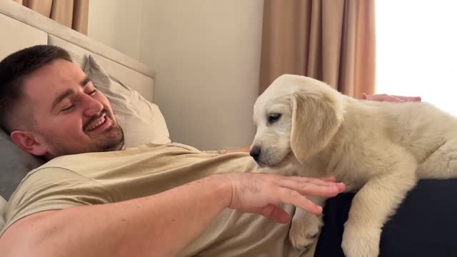 Pretending My Golden Retriever Puppy Bite Hurt [Cuteness Overload]