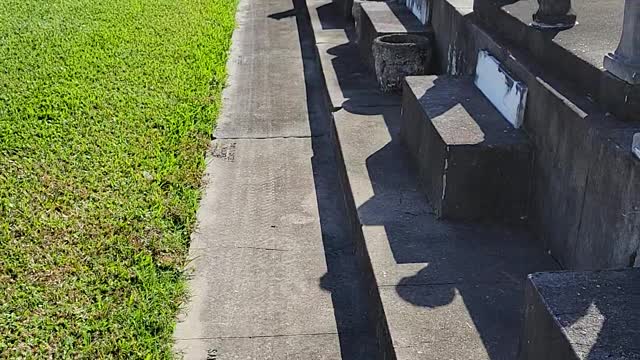 Metairie Cemetery in New Orleans, Louisiana