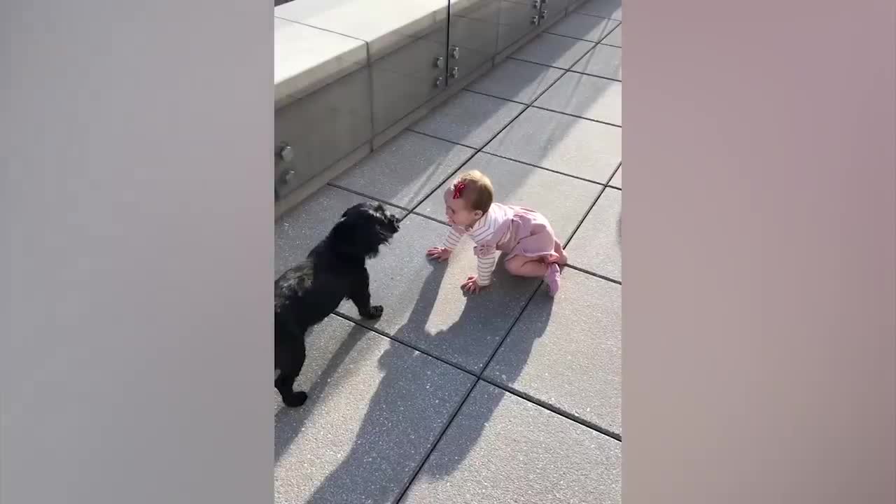 Cute babies playing with pets