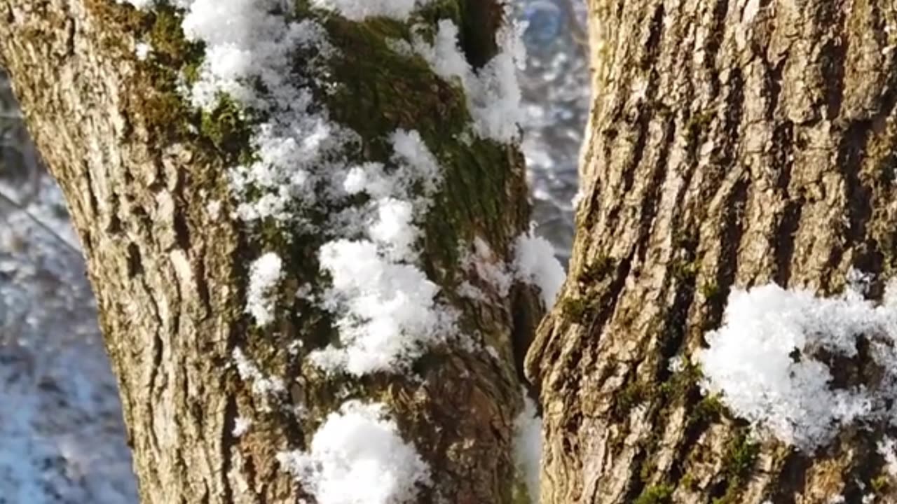 Heavy Snowfall in Murree 📍 2023 2024 | Go To The Road | #shorts #ytshorts #pakistan #youtubeshorts
