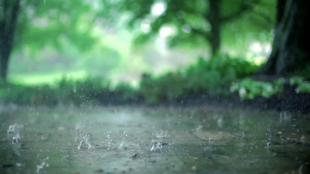 Rain Footage