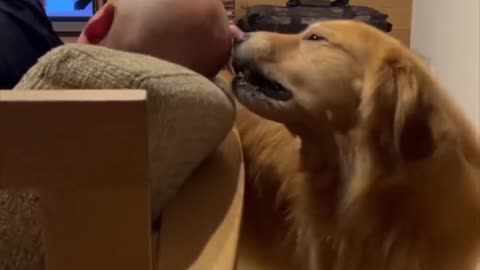 Dog couldn't resist this guy's bald head🤣💀