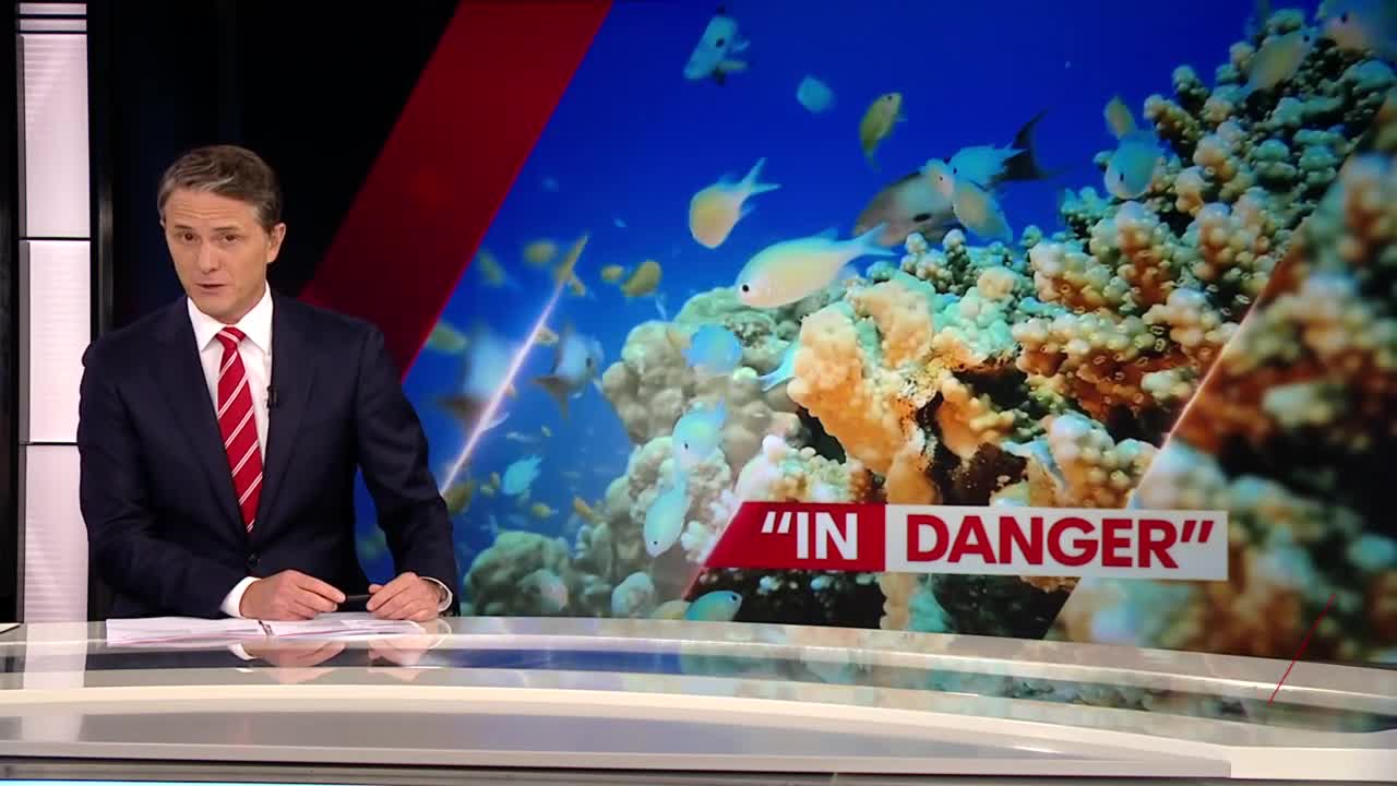 United Nations recommends Great Barrier Reef be classed as 'in danger'