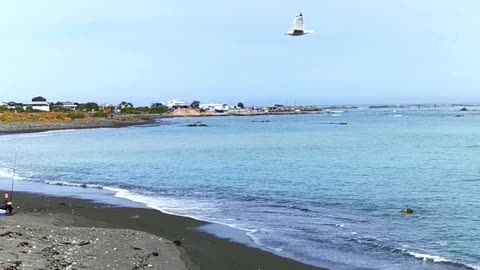 Kaikoura