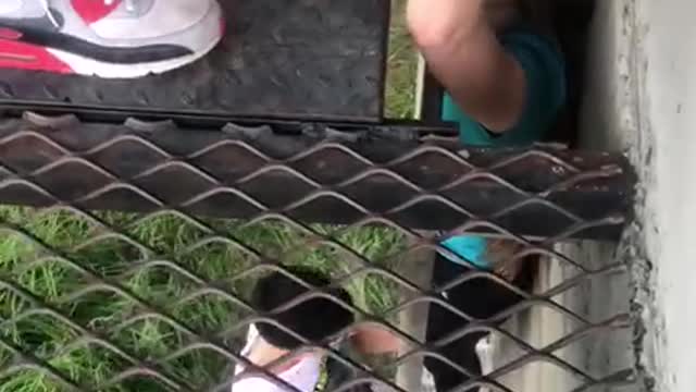 Woman Gets Stuck Trying to Climb Tower