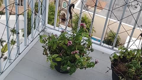 Man-made weather report from Tampa Bay