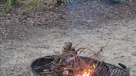 Campfire