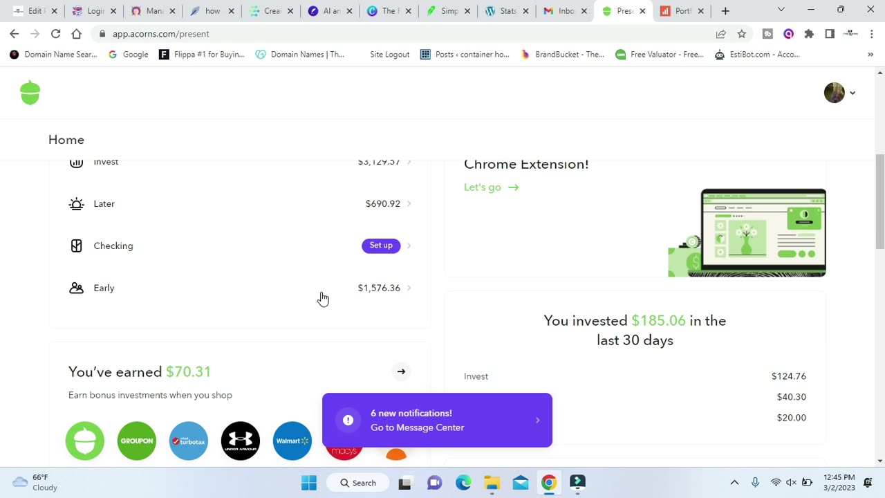 Investing Results: A Peek Inside My Acorn Investment