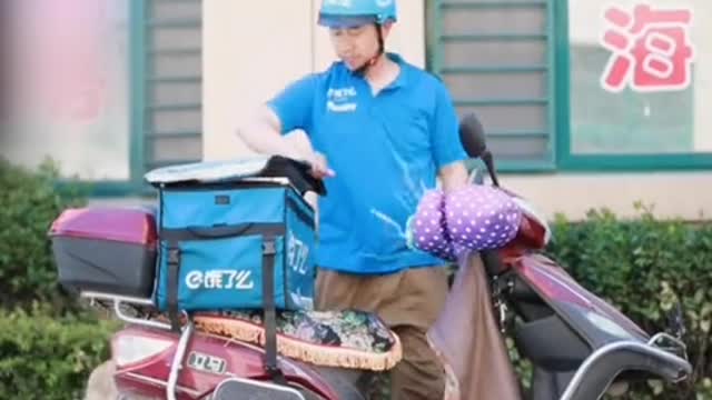 Smart and cute dog doing housework video