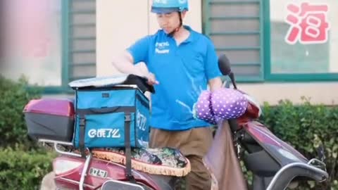 Smart and cute dog doing housework video