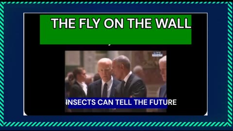 THE FLY ON THE WALL VIDEO