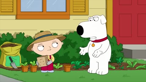 Funny moments with Family Guy