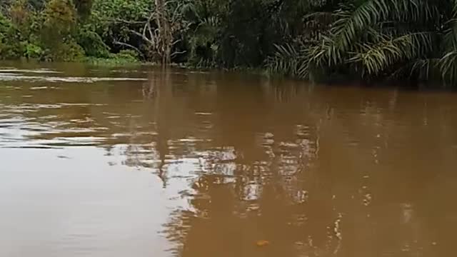 Membawa sembako buat yang terdampak banjir