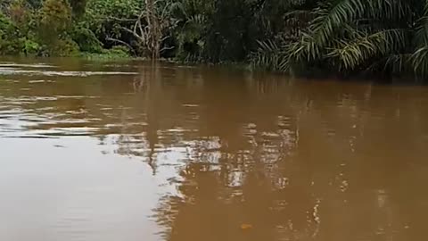 Membawa sembako buat yang terdampak banjir