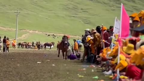 Take you to the Litang Horse Race Festival