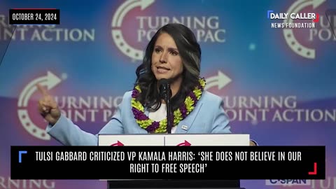 Tulsi Gabbard Expressed Strong Criticism Of VP Kamala Harris