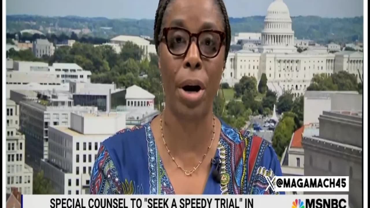 Stacey Plaskett Tells Us the Purpose of the FBI and Wants Trump Shot