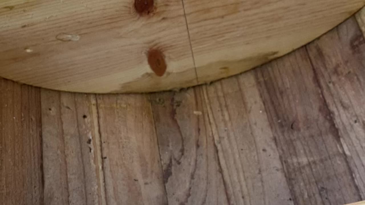 Inspecting a top bar hive