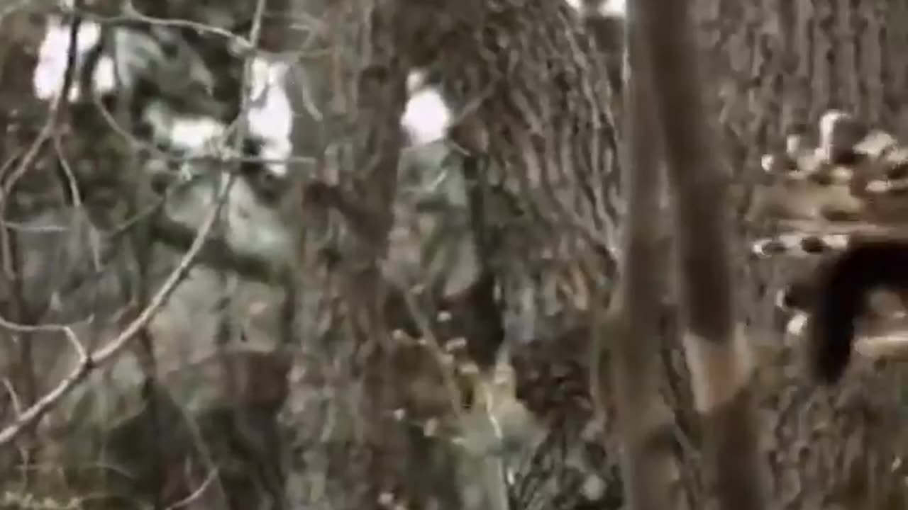 Nature Dicover
