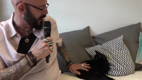 Cat Petting 101