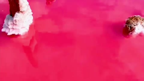 Pink Sea