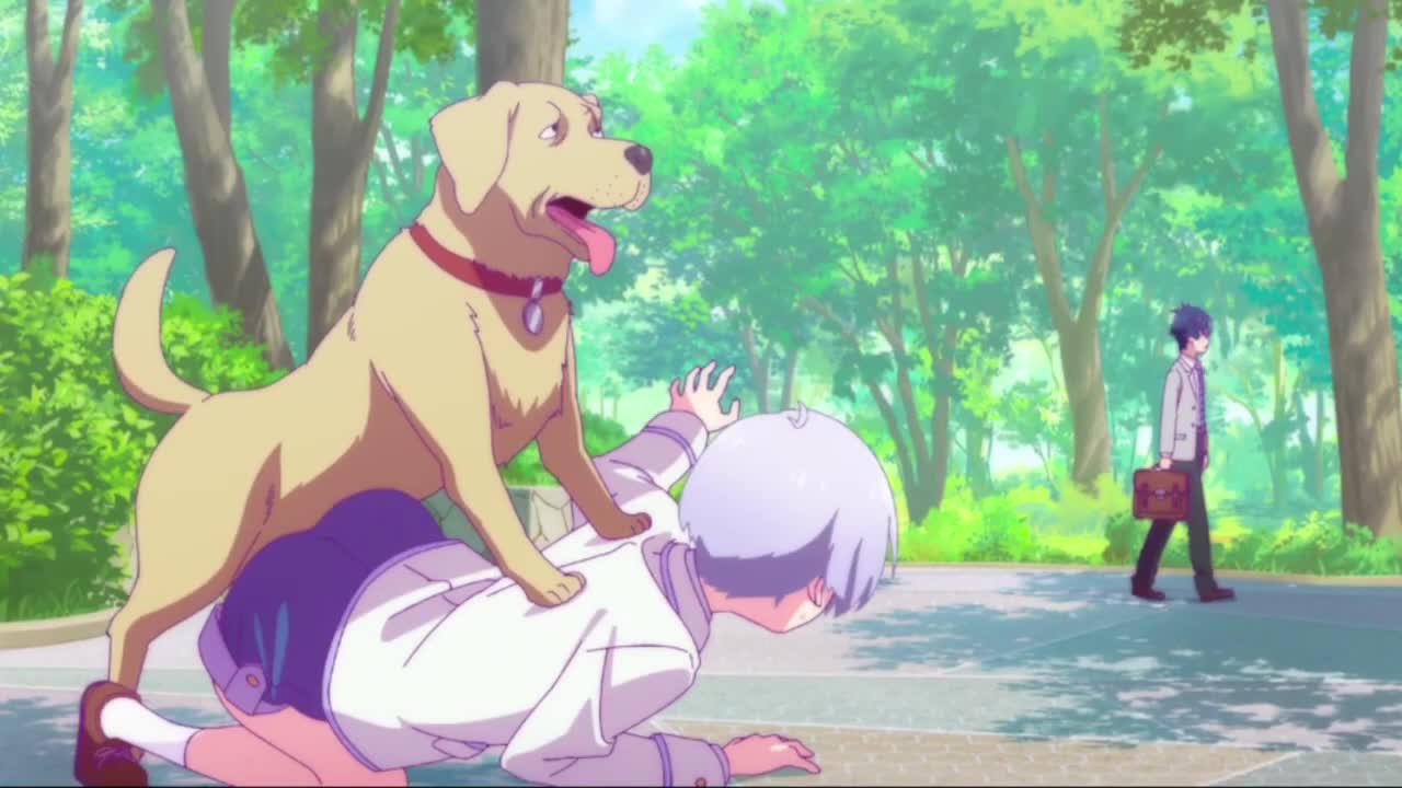 アニメ面白シーン🐶💨【恋愛フロップス】