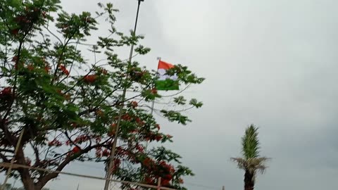 INDIAN FLAG🇮🇳