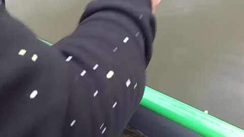 Man Making Omelet on Boat Drops It in Water While Flipping Pan