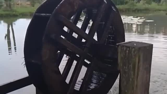 Wooden flywheel