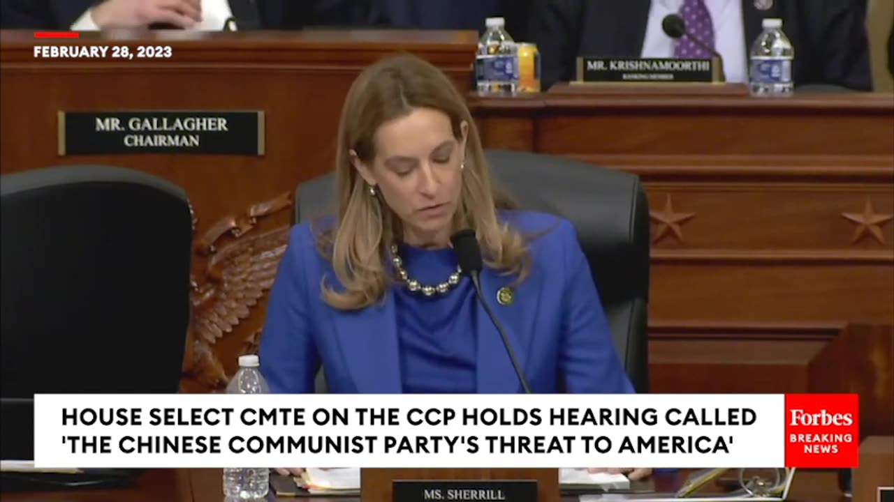 'Just As Insidious Is The CCP's Attack On The US And Global Economy'- Dem Lawmaker Outlines Threat