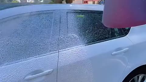 Foam sprayer for car washing