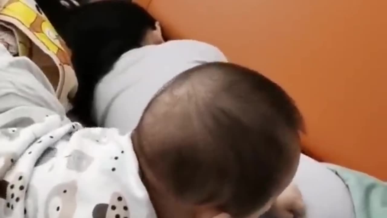Bayi Lucu Jahil# Bayi Lucu Jahil#$# Bayi Lucu Jahil