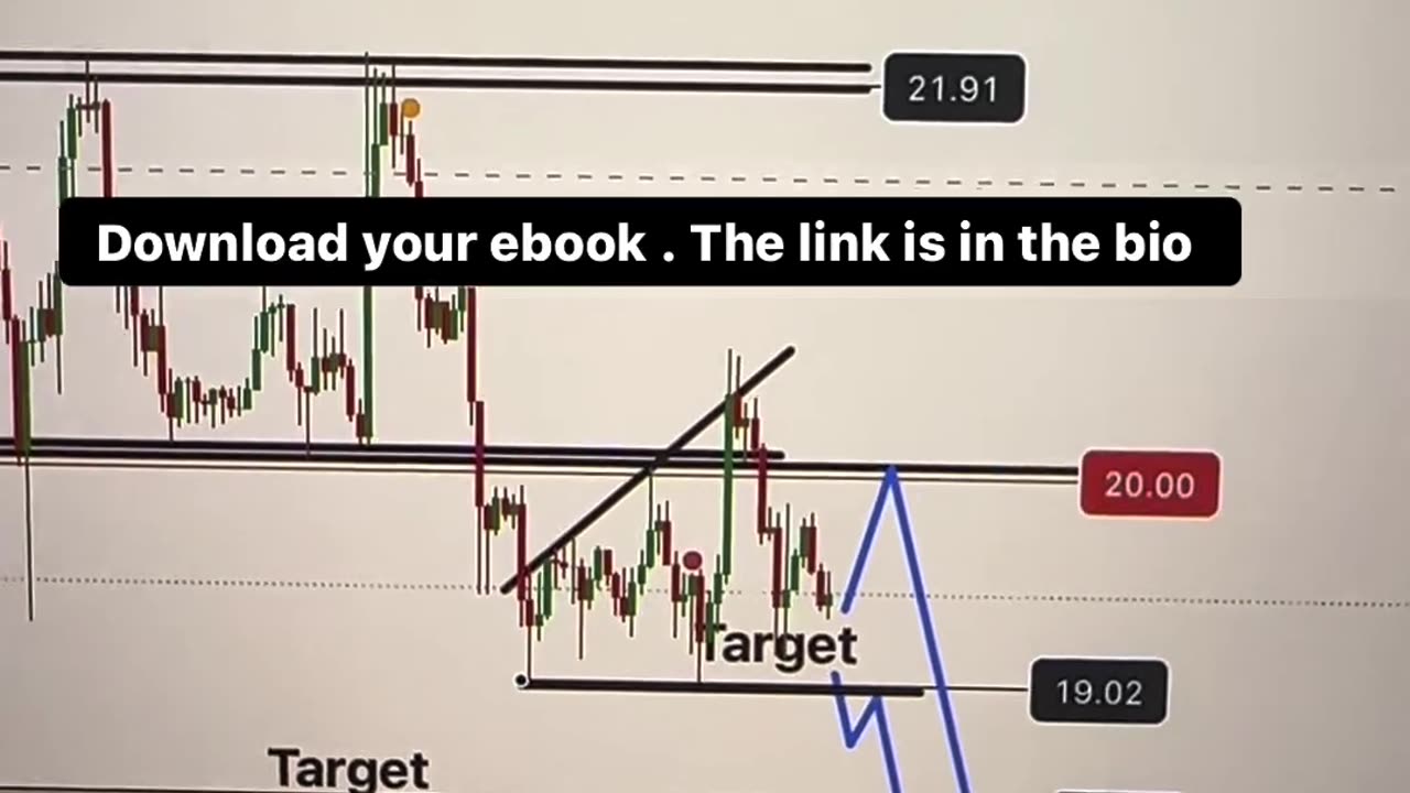 Best trading setup 100% profitable