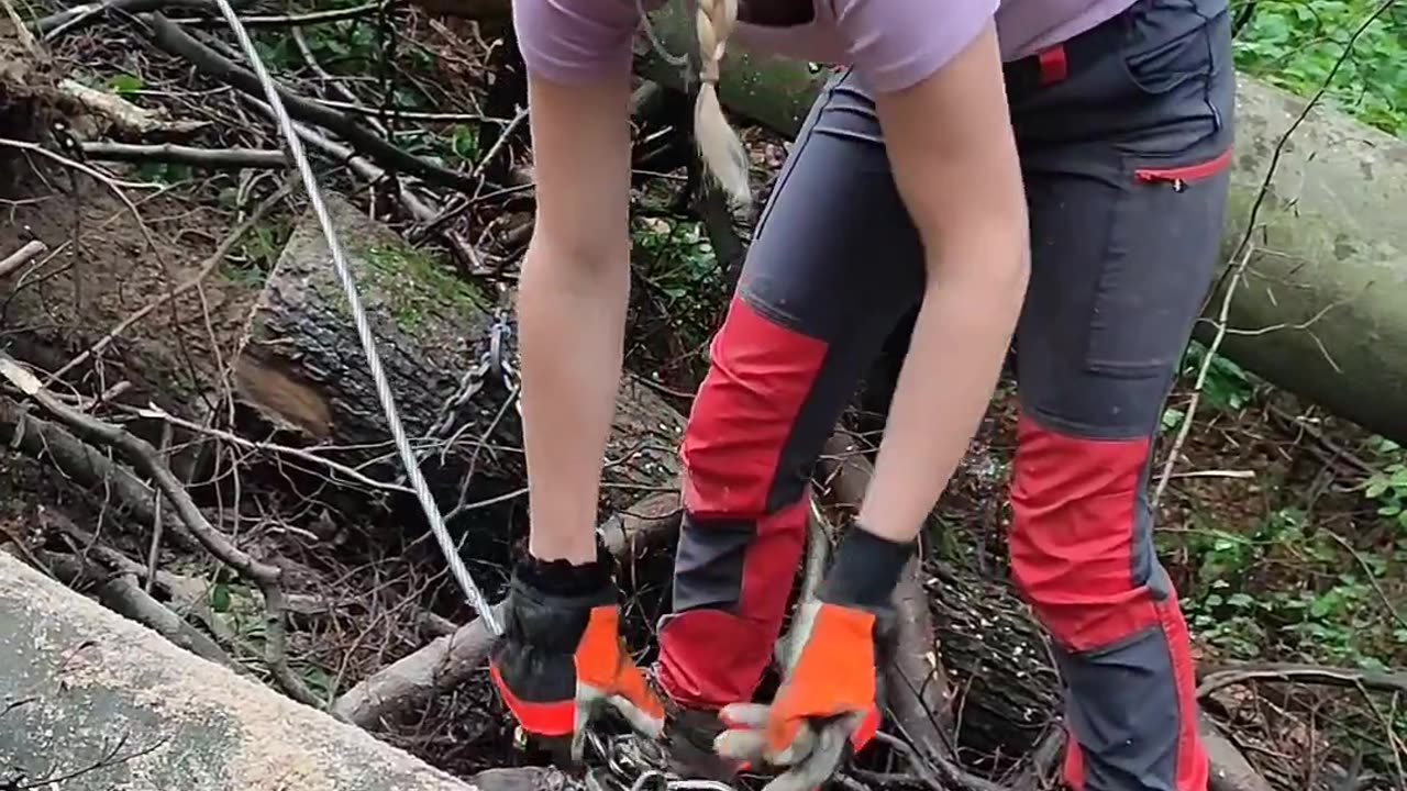 CRC vídeos curiosos