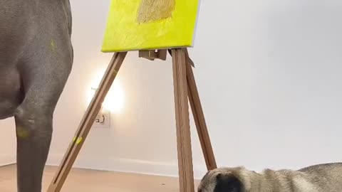 Dog paints his friend