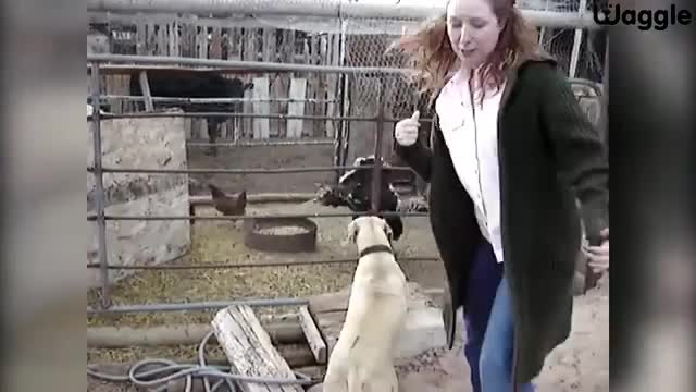 Epic Fails
