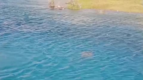 Swimming at spangtoq saling