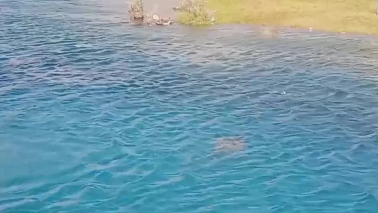 Swimming at spangtoq saling
