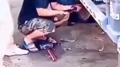 Doomed From The Beginning