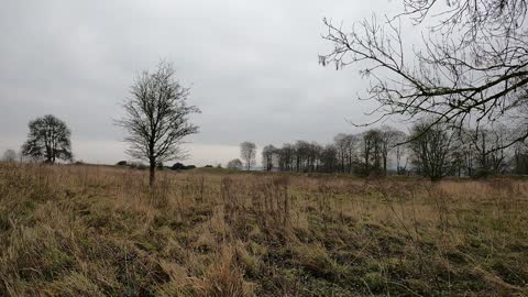 Time lapse of the sky at an ironage fort.