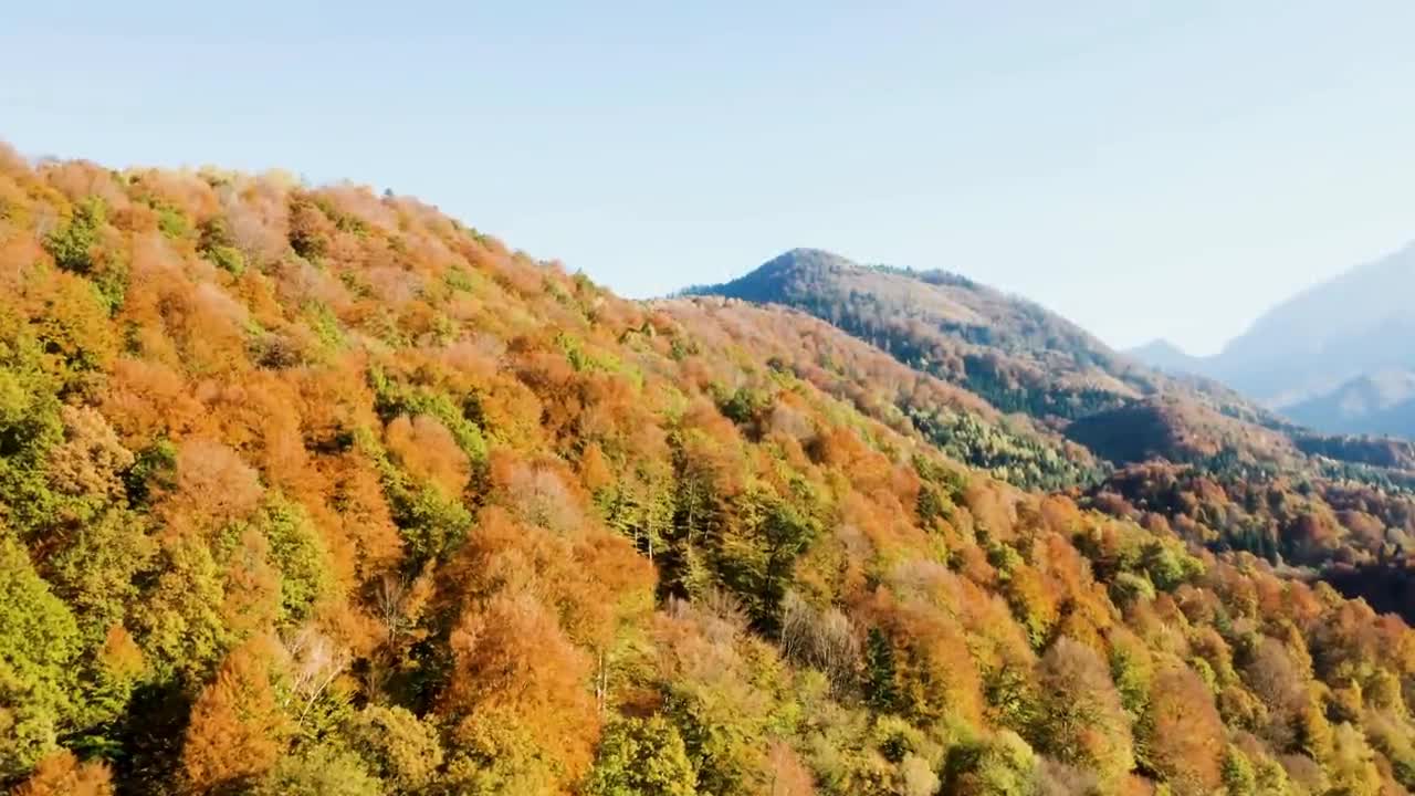 Enchanting Autumn Forests with Beautiful Piano Music