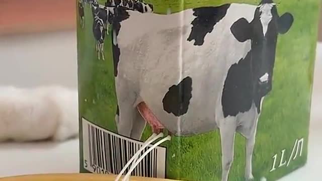 Would you like some fresh milk