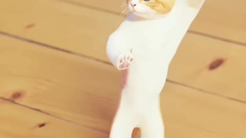 Funny cat Dance 🤣🤣🤣