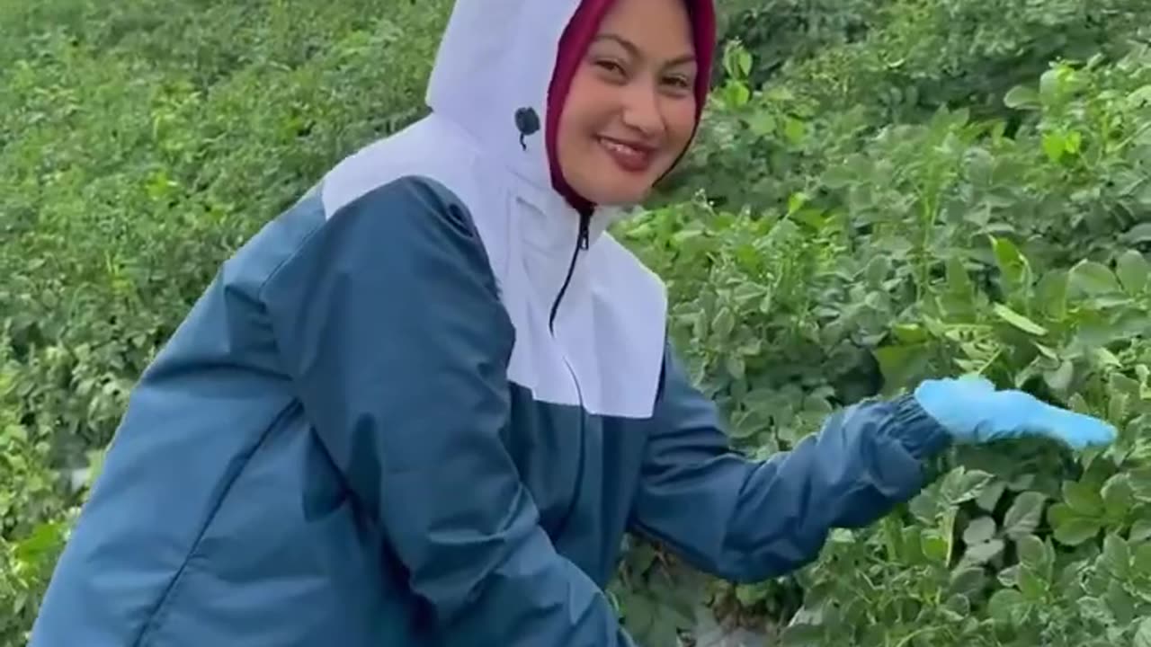 Berkebun