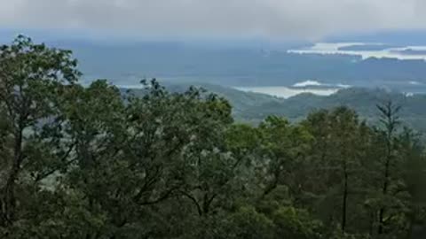 she couldn't be more correct